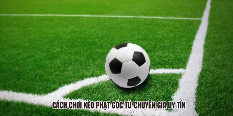 Cách chơi kèo phạt góc từ chuyên gia uy tín