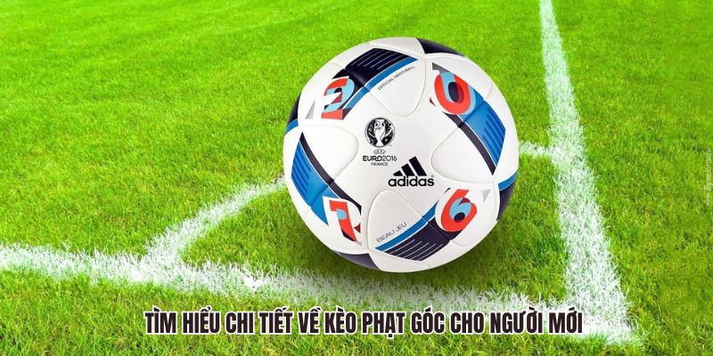 Tìm hiểu chi tiết về kèo phạt góc cho người mới